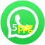 5ppg WhatsApp
